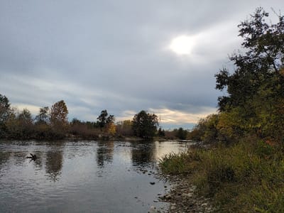 A river stretches across a landscape under a cloudy sky, the sun muted by the overcast conditions. Trees line both sides of the water, some displaying autumn colors. The river's surface reflects the sky and surrounding trees, creating a sense of depth. Vegetation grows along the riverbank, transitioning from water to land. A dark object floats in the water near the left side of the frame. The scene exudes a tranquil and somewhat somber atmosphere.