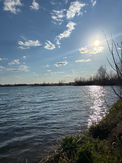 The image depicts a body of water under a clear, bright sky with scattered cumulus clouds. The sun is high, casting a strong glare on the water's surface. A shoreline vegetated with grass and a sparse line of bare trees runs along the right side of the frame. The scene is likely rural or semi-rural, consistent with landscape in Zaosinovo, Russia. There are no visible people, subjects, objects, actions, or interactions besides the natural elements. The environment is bright and sunny, suggestive of a calm day.