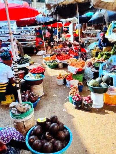 An outdoor market scene in Ihumwa, Tanzania, depicts a pathway lined with numerous vendors and their produce displays. The ground is packed dirt. Various fresh vegetables and fruits are arranged in plastic basins, buckets, and woven baskets.
In the foreground, a blue plastic basin holds dark, avocado-like fruits, one partially cut open. To its left, a person, viewed from behind, wears a white t-shirt, a yellow and black striped wrap, and a blue head covering, seated low to the ground. Directly behind this person, containers display eggplants and cucumbers.
Further into the market, abundant red tomatoes are visible in multiple basins. Orange carrots are piled high in a white container, and green vegetables, possibly peppers, are in a green basin. On the right, large gourds or squashes are in a dark green basin atop a white bucket, surrounded by buckets of red onions, potatoes, and other root vegetables.
Several market umbrellas, primarily red, blue, and beige, provide shade over the stalls. In the mid-ground, multiple individuals are visible among the stalls; one person wears a red head covering, and another is seated in a light blue plastic chair wearing a blue shirt. A light-colored truck with "MOUNT SINAI" text is partially visible in the left background. The scene is brightly lit by natural daylight.