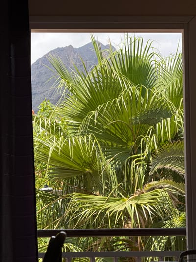 The image provides a view through a window looking out at a lush tropical landscape dominated by palm trees. In the background, a rugged, rocky mountain rises against a cloudy sky. The foreground shows a dark curtain on the left side of the frame, and a railing of a balcony or patio is visible. The scene appears to be an outdoor view from a room, possibly a hotel or residential property, in Fañabé, Spain. The lighting suggests it is daytime, with sunlight filtering through the palm fronds.