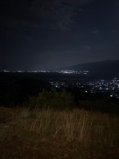 The image depicts a nighttime panoramic view of the city of Mendovo, Bulgaria, seen from a higher vantage point. The foreground is dominated by dry, tall grass and some dark foliage. In the middle ground, there is a lush, dark green bush. The background reveals the illuminated cityscape of Mendovo, with countless points of light indicating houses and streetlights spread across the valley. The city is nestled at the base of a mountain range, which is silhouetted against the dark night sky. The sky itself is largely dark, with faint clouds that are illuminated from below by the city lights, giving them a subtle glow. The overall impression is one of a peaceful, quiet night overlooking a sleeping city. There are no people or active interactions visible in the scene.
