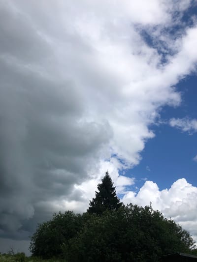 The image depicts a dramatic sky over a line of dense green trees and vegetation. On the left side of the frame, dark, heavy storm clouds dominate the sky, obscuring the blue. These clouds appear thick and textured, with some lighter areas suggesting the presence of sunlight breaking through or illuminated undersides. To the right, the sky transitions to a bright, clear blue, dotted with fluffy white cumulus clouds. A tall, dark green evergreen tree stands prominently in the center, silhouetted against the sky, rising above the surrounding foliage. The foreground shows the tops of various trees and bushes, creating a dark, lush barrier. The overall impression is one of contrasting weather conditions, with a storm approaching or receding. The location is identified as Uriupino, Russia.