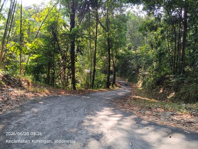 The image shows a paved road winding through a dense forest. The road is cracked and weathered, with dry leaves and debris scattered along its edges. Sunlight filters through the canopy of trees, creating dappled shadows on the road. On the right side of the road, there is a steep embankment covered in vegetation and fallen leaves. In the distance, a person is riding a motorcycle up the road. The timestamp at the bottom left of the image indicates the date is June 20, 2026, at 08:26 AM, and the location is Kecamatan Kuningan, Indonesia. The overall scene depicts a rural, natural setting on a clear day.