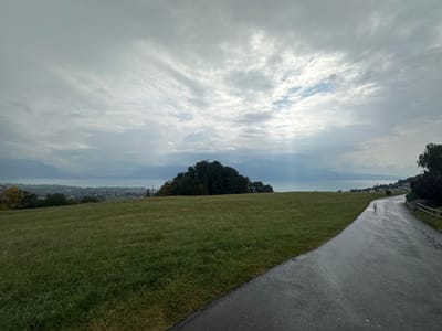 The image presents a panoramic landscape view captured from an elevated position in Jongny, Switzerland, overlooking Lake Geneva on an overcast day.
The sky is dominated by a heavy, multi-layered grey cloud cover, with a brighter, more broken patch of clouds in the upper central area, allowing faint light rays to descend towards the lake.
In the foreground, a verdant green field, appearing damp and slightly reflective, occupies the left half of the frame. To the right, a dark, wet asphalt path curves from the bottom-right corner towards the mid-right. A single slender, light-colored post stands vertically on the right edge of this path in the lower-mid section. Further along the path, a wooden fence with horizontal rails is visible on the far right.
The midground features a cluster of dense, dark green trees forming a rounded mass near the center, situated between the foreground field and the distant shoreline. Below these trees and extending along the lake's edge, a town or urban area with various buildings is discernible.
The background is dominated by the expansive, calm, light blue-grey waters of Lake Geneva, stretching horizontally across the scene. Beyond the lake, distant, dark blue-grey mountains rise, partially obscured by atmospheric haze or low-hanging clouds. No individuals, animals, or active subjects are present in the scene. The environment conveys a cool, diffused lighting condition.