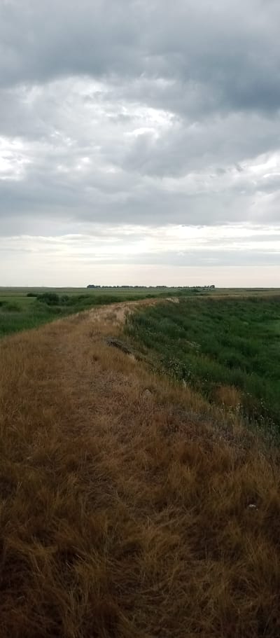 The image shows a landscape with a divide between dry, brown grass in the foreground and lush, green grass in the background. The horizon is flat, with a line of trees or bushes in the distance, and a hazy sky with clouds. The scene appears to be an open, rural area, potentially a field or prairie. There are no people or animals visible, and no specific structures or man-made objects are prominent, apart from the distant treeline which might suggest a settlement or park area. The overall impression is one of a natural environment under an overcast sky. This scene is consistent with the topography of Marinovka, Kazakhstan, which features vast open plains and agricultural lands.