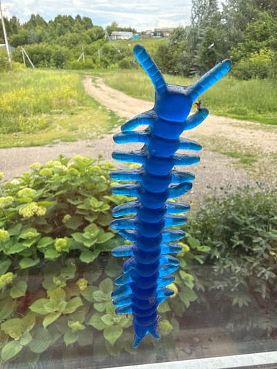A blue, segmented plastic centipede-like toy is affixed to a windowpane. A small insect is perched on one of the toy's appendages. Through the window, a dirt road winds through a grassy, rural landscape with trees and houses in the background. The scene appears to be in Malmyzh, Russia.