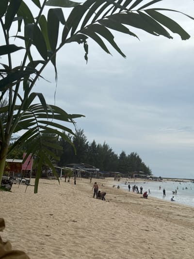 The image depicts a crowded beach scene on a cloudy day, likely in the city of Meunasahbale, Indonesia. In the foreground, lush green palm fronds obscure a portion of the view, casting shadows on the sandy shore. The beach is populated with numerous individuals, some walking along the waterline, others sitting or playing in the sand. The ocean stretches out to the right, with gentle waves lapping the shore and a scattering of small boats visible in the distance. Along the treeline that borders the beach, there are several small structures, possibly beachside shops or huts, with a few people gathered near them. The overall atmosphere appears relaxed and recreational.