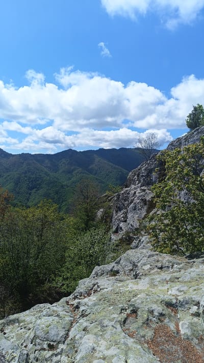 The image depicts a landscape on Sini Vrah mountain in Bulgaria. The foreground is dominated by gray, lichen-covered rocks. Patches of brown leaves and debris are scattered on the rocks. To the right, a rocky cliff with shrubs and a small tree growing from it is visible. In the mid-ground, lush green forested mountains stretch towards the horizon. The sky above is bright blue with puffy white clouds.