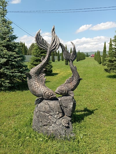 This image depicts a stone sculpture of two fish entwined, positioned on a rocky base in a grassy outdoor setting. The sculpture appears to be made of dark grey stone with lighter grey accents highlighting the scales of the fish and the texture of the rock. The fish are oriented such that their tails fan out, creating a decorative element. Behind the sculpture, a well-maintained lawn stretches out, dotted with small yellow wildflowers. In the background, a row of manicured evergreen trees stands in a line, and beyond them, a distant red-roofed building is visible, along with rolling hills and a blue sky with scattered white clouds. The time of day appears to be daytime, with clear weather. The scene suggests a park, garden, or an outdoor art installation. There is no visible text in the image. The overall impression is one of a serene, possibly artistic, outdoor environment.