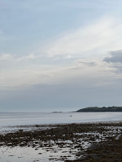 The image depicts a serene coastal scene in Terhillion, Ireland. The horizon is dominated by a vast expanse of calm water reflecting the overcast sky, suggesting it is either early morning or late afternoon. A thin strip of land, densely covered with dark green foliage, runs along the distant right edge of the water. In the foreground, a rocky shoreline is visible, covered in dark, wet seaweed and pebbles, with shallow pools of water reflecting the muted light. The overall atmosphere is peaceful and tranquil. A tiny white boat with a single person is visible on the water in the distance. The weather appears to be cloudy, with soft light filtering through the clouds. There is no visible text in the image.