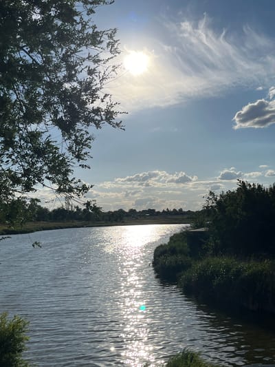 This is a landscape photograph taken from a vertical perspective, showing a body of water, vegetation, and the sky. The sun is visible, casting bright reflections on the water's surface. The sky is blue with wispy white clouds and some darker, more defined clouds. The water appears to be a canal or river, with trees and foliage lining its banks. The overall impression is of a bright, sunny day in a natural setting.
The image is oriented vertically, so the sky is on the left and the water is on the right. The sun is prominently featured in the upper left quadrant, with its rays creating a shimmering effect on the water. The foliage on the left side of the image is a mix of green leaves and branches, appearing dense and possibly in the foreground. On the right side, dark green trees and bushes form a line along the edge of the water, with some smaller plants visible closer to the water's edge. The water itself is rippling, with numerous points of light reflecting off its surface. The clouds in the sky are varied, with some appearing thin and feathery, while others are more substantial and puffy. The lighting suggests it is midday or afternoon. There is no visible text in the image.
The scene evokes a sense of tranquility and natural beauty. The bright sunlight and the sparkling water create a vibrant and uplifting atmosphere. The lush greenery suggests a healthy environment. The lack of any human presence or artificial structures contributes to the feeling of a peaceful, untouched landscape.