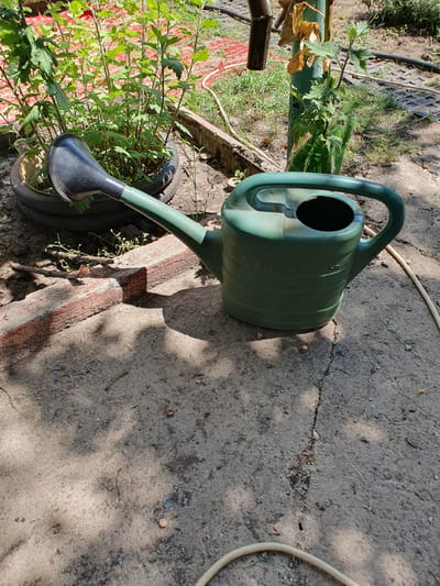 A green watering can with a black spout sits on a cracked concrete surface. The watering can is positioned to the right of a large potted plant with lush green foliage. Behind the plant, a red tarp is partially visible. The environment appears to be outdoors, likely in a garden or yard, with loose soil and dry grass surrounding the concrete area. A light-colored hose is visible in the lower right portion of the image. The lighting suggests it is a sunny day, with distinct shadows cast by the plant and watering can. The scene is located in the city of Novoivanivka, Ukraine. There are no people visible in the image.