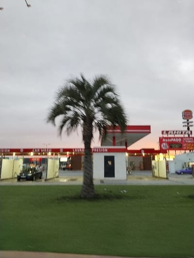 A blurry, eye-level shot depicts a car wash behind a palm tree. The car wash features a red awning, labeled "CAR WASH," "LAVADO," and "PRESION." A black car is visible in one of the wash bays. To the right, signage, including a Burger King logo, is apparent. A purple car is parked near the car wash entrance. Green grass occupies the foreground, with a cloudy sky overhead.
