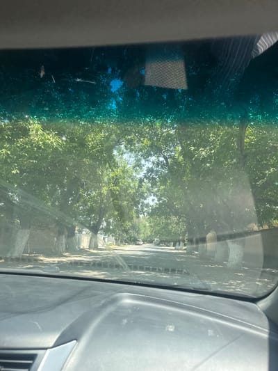 This media file captures a view through a car windshield, looking out at a tree-lined street. The perspective suggests the viewer is a passenger or driver.
The primary subjects are the lush green trees with dense foliage, indicating a season of growth, likely spring or summer. Sunlight filters through the leaves, creating dappled patterns on the road and the car's interior. The street itself is paved, with the edge of what appears to be a sidewalk visible. On the right side of the frame, the interior of the car is visible, including the dashboard and part of the windshield frame. There is a subtle blue-green tint to the left side of the windshield, possibly from a tinting film or the angle of the glass.
The scene appears to be a residential street in a temperate climate. The presence of trees and buildings suggests an urban or suburban setting. The lighting indicates it is daytime, likely mid-morning to afternoon, given the bright sunlight and the clear sky visible through the leaves. There are no people or overt activities depicted, but the context of a car suggests movement, implying the scene is a snapshot from a journey.
Notable details include the texture of the car's dashboard and the pattern of the leaves. The presence of a faint, rectangular pattern on the left side of the windshield could be a reflection or a sticker. The overall mood is serene and natural, with the play of light and shadow adding depth. There is no visible text in the image. The provided location context, "Birinçi May, Kyrgyzstan," places this scene in a specific geographical setting, although no direct visual cues within the image confirm this.