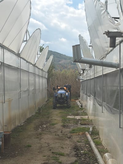The image shows the interior of a greenhouse in Damianitsa, Bulgaria. The greenhouse has a white, plastic-covered arched roof supported by a metal frame. The ground is dirt and grass. A blue tractor is parked in the center of the greenhouse, facing the viewer. Mountains are visible in the distance beyond the greenhouse structure.
