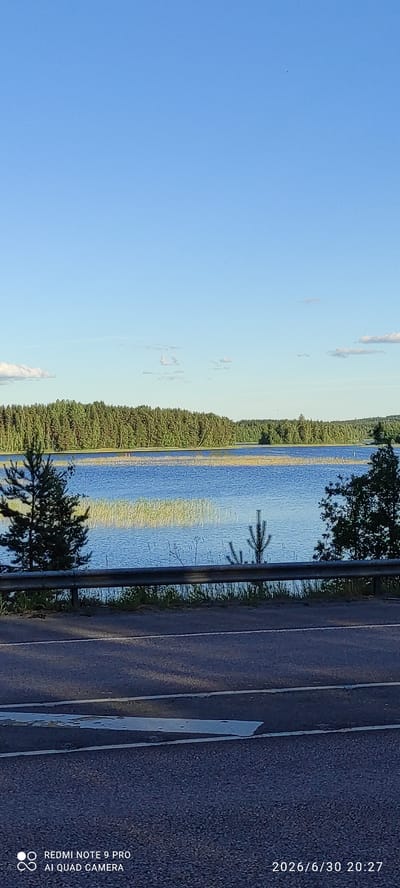 The image captures a serene landscape scene on June 30, 2026, at 20:27, likely in or near Joutsa, Finland. The foreground features a section of asphalt road with painted white lines, suggesting it's a public roadway. A metal guardrail separates the road from a body of water. Beyond the guardrail, a tranquil lake stretches out, its surface reflecting the clear blue sky and distant trees. The lake is bordered by a dense forest of evergreen trees, characteristic of the Finnish landscape. Reeds or tall grasses are visible growing along the edge of the water. The sky is mostly clear with a few scattered, wispy clouds. A young pine tree stands on the left side of the image, close to the guardrail, and another smaller pine sapling is situated in the water near the center. The overall impression is one of natural beauty and peacefulness.