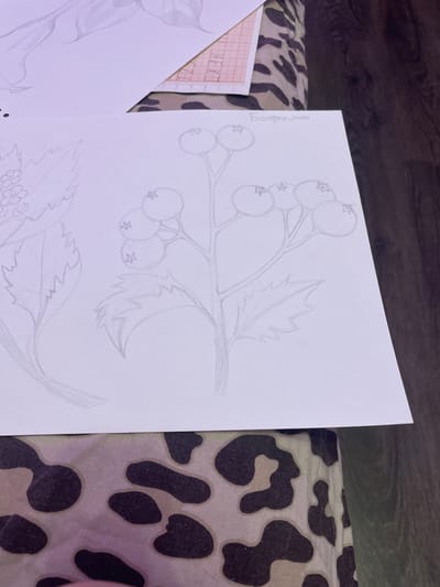 The image shows a close-up view of a drawing on a white sheet of paper, featuring a branch with berries and leaves. The drawing is done in pencil and is in a sketchy, unfinished style. The berries are depicted as round with a star-like shape inside, and the leaves are lobed with serrated edges. In the upper right corner of the drawing, there is text written in Russian, which appears to be "Боярышник" (Boyaryshnik), meaning hawthorn.
The drawing is placed on a surface with a leopard-print pattern, likely fabric. In the background, out of focus, there is a dark wooden surface, possibly a table or floor. Another piece of paper with a grid pattern is partially visible behind the main drawing.
There are no people visible in the image, nor any actions or interactions taking place. The scene is static and focuses solely on the drawing and its immediate surroundings.
Regarding the location in the city of Zmeinyi, Russia: The provided image does not contain any identifiable landmarks, street signs, or other contextual information that would allow for its specific location to be determined within Zmeinyi or any other city. The image is a close-up of a drawing and a patterned surface, and there is no indication of an outdoor or urban environment.