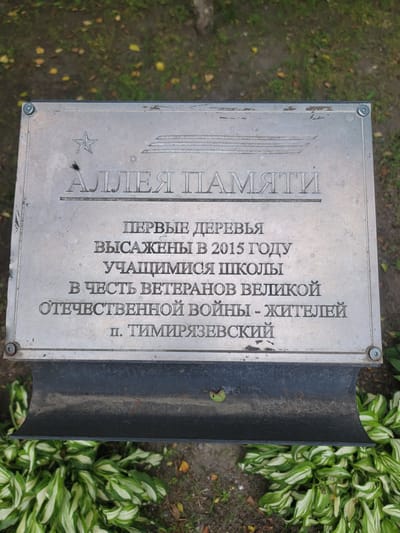 The image shows a metal plaque mounted on a black metal base, which is surrounded by foliage. The plaque features embossed Russian text. The top line of text, larger and in a stylized font, reads "АЛЛЕЯ ПАМЯТИ" (Alleya Pamyati), meaning "Memory Lane." Below this, in smaller text, it states: "ПЕРВЫЕ ДЕРЕВЬЯ / ВЫСАЖЕНЫ В 2015 ГОДУ / УЧАЩИМИСЯ ШКОЛЫ / В ЧЕСТЬ ВЕТЕРАНОВ ВЕЛИКОЙ / ОТЕЧЕСТВЕННОЙ ВОЙНЫ - ЖИТЕЛЕЙ / п. ТИМИРЯЗЕВСКИЙ" (Pervye derev'ya / vysazheny v 2015 godu / uchashchimisya shkoly / v chest' veteranov velikoy / Otechestvennoy voyny - zhiteley / p. Timiryazevskiy). This translates to "The first trees were planted in 2015 by students of the school in honor of the veterans of the Great Patriotic War - residents of the settlement of Timiryazevskiy." The plaque is silver-toned and shows signs of weathering. The base is black and curved, and below it, lush green and white variegated plants are visible. The ground around the plaque is covered with dirt and fallen leaves.