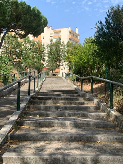 The media file depicts an outdoor scene featuring a long, weathered concrete staircase descending. The stairs are worn and partially covered with dry leaves, suggesting they are in a public outdoor space. A metal handrail, painted green at its supports and a dull silver at the top, runs along the left side of the staircase, indicating a path or walkway.
In the background, a multi-story building with cream-colored walls and orange trim is visible, peeking through dense green trees. The building has several windows and balconies. The trees are lush and varied, with some appearing to be pine trees with their characteristic needles.
The scene is bathed in sunlight, casting strong shadows across the stairs, which suggests it is daytime, likely late morning or afternoon given the angle of the light. The sky is a clear blue, indicating fair weather. The overall impression is one of an urban or suburban environment, possibly a park or a residential area with public access paths. There is no visible text in the image. The orientation of the image is rotated 90 degrees counterclockwise, making the stairs appear to ascend from the bottom right to the top left.