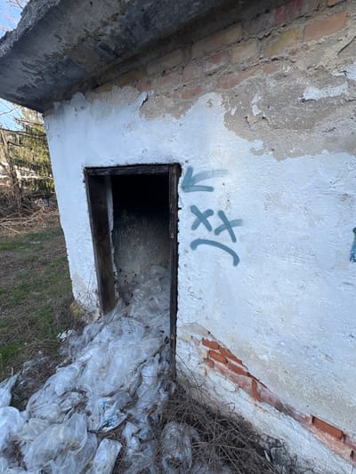 The image depicts a dilapidated, single-story concrete or stucco structure located in Stoianovo, Bulgaria. The building's exterior walls are coated in a rough, flaking white paint, revealing underlying red brickwork in multiple areas. A single, dark, open doorway, lacking a door and framed by weathered dark wood, dominates the front face of the structure. The interior, visible through the doorway, is filled with a large quantity of crumpled, translucent white plastic bags that spill out onto the ground directly in front of the entrance.
To the right of the doorway, grey spray paint graffiti is visible on the white wall, consisting of an upward-pointing arrow, two 'X' marks, and a frowning face emoticon. The ground immediately surrounding the structure is covered with dry, sparse grass and tangled, withered vegetation. In the background, dormant deciduous trees are present under a clear, light blue sky. No individuals or active elements are observed in the scene.