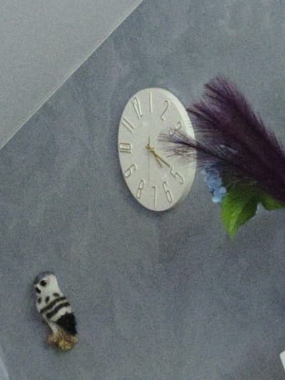 This is a photograph of a wall in a room, possibly a home in Shimanovsk, Russia. On the wall, a round, white clock with Arabic numerals is mounted. A small, decorative owl figurine with black and white markings sits on the wall below and to the left of the clock. To the right of the clock, a dark purple feather, possibly from a plume, is partially obscuring a cluster of small blue flowers and a green leaf. The wall itself appears to be textured and painted a neutral, greyish-blue color. The lighting in the room is soft, casting faint shadows. There are no people visible in the image.