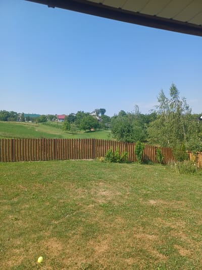 A bright, sunny day in Mykhalcha, Ukraine, is depicted in this image. The foreground is dominated by a well-maintained green lawn with patches of dry grass, and a single yellow ball rests on the ground in the lower left corner. A rustic wooden fence, made of vertical planks, stretches across the middle ground, separating the lawn from a gently sloping green field. Beyond the fence, a village is visible, nestled amongst lush trees and rolling hills. Several houses with red and green roofs are scattered throughout the landscape. The sky is a clear, vibrant blue, indicating fair weather. The image captures a peaceful, rural scene, characteristic of Ukrainian countryside.