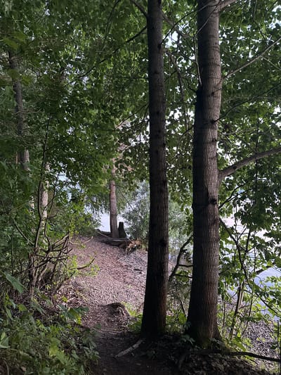 The image depicts a natural scene with dense foliage and trees lining a path. In the foreground, two large tree trunks are prominent, with their textured bark visible. The path, covered in gravel and dirt, winds its way uphill and to the left, disappearing into the greenery. To the right of the path, there is a body of water, likely a lake or river, with a rocky shoreline. The overall impression is one of a secluded, wooded area, possibly a park or a hiking trail. The lighting suggests it might be early morning or late afternoon, with soft light filtering through the leaves. The location is identified as Горы, Russia, suggesting a setting in a mountainous or hilly region.