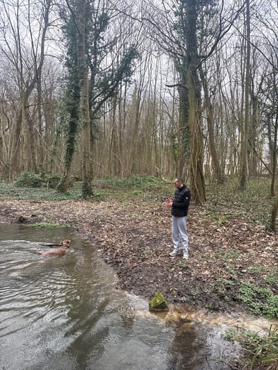 An outdoor scene depicts a man and a dog by a body of water in a wooded area, likely during late winter or early spring.

In the foreground and middle ground, a man stands on a muddy bank next to a stream or river. He is wearing a dark, possibly padded, vest or jacket over a lighter top, light grey sweatpants, and white sneakers. He has short dark hair and a beard and appears to be looking towards the water.

To the man's right, a medium-sized, light brown dog is partially submerged in the murky water, actively swimming or wading. A leash or rope trails from the dog into the water. The water shows ripples and reflections of the overcast sky and bare trees. A moss-covered rock is visible at the edge of the water near the bank, closer to the man.

The ground of the bank is covered in brown fallen leaves and patches of dark, wet soil, along with some sparse green undergrowth and moss.

The background is dominated by a dense forest of deciduous trees, mostly bare of leaves, indicating the season. Their slender, grey branches reach towards a bright, overcast sky. Some larger tree trunks are visible, with one prominent tree in the mid-ground showing some evergreen foliage or vines clinging to its trunk. The trees extend deeply into the background, creating a sense of depth in the woodland.

The overall lighting is soft and diffused, characteristic of an overcast day. There is no visible text in the image.