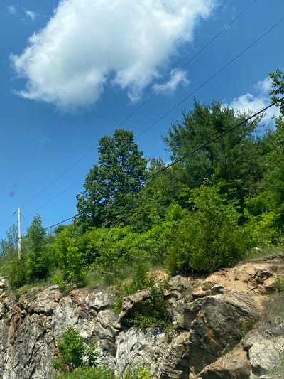 The image captures a rocky cliff face overgrown with lush green foliage under a bright blue sky dotted with fluffy white clouds. Overhead, two dark power lines stretch across the frame, supported by a utility pole visible on the left. The cliff itself is composed of large, weathered rocks in shades of grey and brown, with patches of dry earth and scattered greenery clinging to its surface. The vegetation is dense, with various trees and bushes creating a vibrant green canopy that cascades down the slope. In the distance, a larger tree with a full, rounded crown stands prominently on the hillside. The scene suggests a natural landscape likely located in or near Saint-André-Avellin, Canada, given the presence of utility lines which are common in populated or developing areas. There are no people or animals visible in the frame. The overall impression is one of a sunny day in a rural or semi-rural environment.