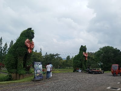 Two large green cat sculptures adorn the entrance to a park or garden. Each cat wears a large pink bow. People walk through the entrance, and a promotional sign stands near the left cat. In the background, trees and greenery stretch across the landscape. Various vehicles, including a small red three-wheeled vehicle, are parked near the right cat. The sky is overcast with gray clouds. The pathway is paved with dark bricks.