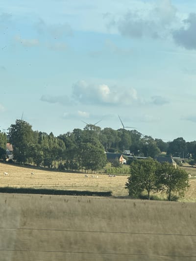 This is a photograph taken in Saint-Maclou-de-Folleville, France, on a sunny day with a partially cloudy sky. The image depicts a rural landscape featuring rolling hills, fields, trees, and a few scattered buildings. In the foreground, there is a field of dry, straw-colored grass. In the middle ground, there is a large grassy field where several white cows are grazing. Beyond the field of cows, there is a line of trees and some houses. In the background, several wind turbines are visible, and the sky is a light blue with scattered white and gray clouds. Some small, dark birds are visible in the sky.