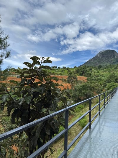 A metal walkway with railings extends into a lush, hilly landscape. The walkway is gray and has a diamond plate surface. The railing is also gray and made of metal. To the left of the walkway, a dark-leaved tree with large leaves is in the foreground. Behind the tree, the landscape is covered in green vegetation and patches of reddish-brown soil, suggesting terraced farming. In the distance, a large, green mountain rises under a blue sky with scattered white clouds. The scene is devoid of people. This image appears to capture a view from a scenic walkway in the vicinity of Định An, Vietnam, likely in a rural or mountainous area known for its natural beauty and agricultural activities.
