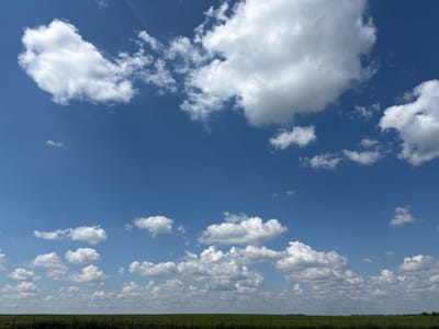 The image depicts a wide, horizontal landscape under a bright blue sky dotted with fluffy white cumulus clouds. The bottom portion of the frame features a flat, green field, likely agricultural land, bordered by a thin, dark line of vegetation and a visible fence. The horizon is low, emphasizing the vastness of the sky. There are no people, animals, buildings, or vehicles visible in the scene. The overall impression is of a serene, open rural environment. The specific location in Ves', Russia cannot be determined from the visual information provided.