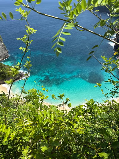 An overhead view from a cliffside, partially obscured by foliage on the left and right, reveals a sandy beach and turquoise waters. The dark blue of the deeper ocean contrasts with the light aqua of the shallows near the shore. The location is Bunga Mekar, Indonesia. No people are visible.