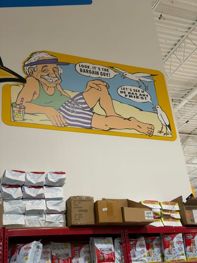 An interior shot captures a whimsical mural on a white wall at a store in Elizabeth City, USA. The mural depicts a cheerful, elderly man with a mustache, wearing a green tank top and purple striped shorts, relaxing on a beach chair with a drink in hand. Two seagulls are featured in the scene; one hovers near the man, and the other is depicted in a speech bubble saying, "LET'S SEE IF HE HAS ANY FRIES!" Below the mural, shelves are stacked with various pet products, including bags of dog food and training pads. The ceiling above shows commercial lighting and structural beams.