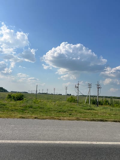 The image depicts a rural roadside scene with a clear blue sky filled with fluffy white clouds. In the foreground, a grey asphalt road with a white line marking its edge runs horizontally across the bottom of the frame. Beyond the road, a field of tall green grass stretches into the distance, dotted with various bushes and trees. A line of utility poles with electrical wires crisscrosses the field, extending towards the horizon. The overall environment suggests a sunny day in a natural, undeveloped area, likely outside of a dense urban setting.