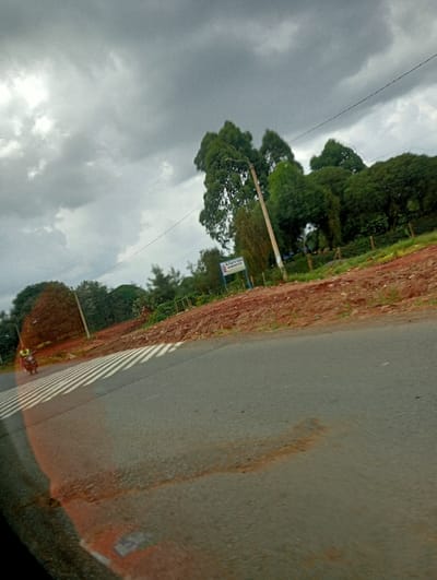 The image presents an outdoor street scene in Karatina, Kenya, under a heavily overcast sky. The sky is dominated by thick, dark grey clouds, suggesting a dull, possibly rainy, daytime.
In the foreground, an asphalt road stretches across the frame, angling slightly upwards towards the right. A prominent white zebra crossing with broad diagonal stripes is visible on the left side of the road. The road surface shows distinct reddish-brown streaks and patches, likely dirt or mud, particularly in the lower-center and foreground areas.
On the far left, a motorcycle with a rider is partially visible near the zebra crossing, hinting at traffic. The perspective suggests the photo was taken from a vehicle, with a slight reflection or part of the vehicle's interior visible in the bottom-left corner, slightly obscuring the motorcycle.
To the right of the road, an elevated bank of reddish-brown soil is present, featuring some sparse green vegetation. Behind this bank, a dense line of various green trees forms a prominent backdrop, including tall, slender trees resembling eucalyptus, alongside shorter, bushier foliage. A light-colored utility pole stands upright on the right, supporting power lines that traverse the mid-ground.
A blue and white signboard is visible near the utility pole. Although slightly blurry, the text on the sign can be deciphered as "AL-SHAFAI HOSPITAL" and "KARATINA", confirming the location and indicating the presence of a medical facility.
The overall atmosphere is muted due to the heavy cloud cover, characterizing a typical overcast day. The scene primarily captures a snapshot of a road with surrounding natural and man-made elements.