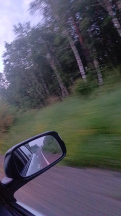 The image captures a view from inside a vehicle traveling on a road, likely on the outskirts of a city like Zuy, Russia, given the presence of trees and open green space. The perspective is from the passenger side, with a car's side mirror prominently in the foreground, reflecting the road and the passing scenery. The scene outside the vehicle shows a blur of trees and a green field, indicating movement. The road itself is visible in the mirror, with a light-colored line marking its edge. The sky appears overcast and dusky, suggesting it might be early morning or late evening. The overall impression is one of a journey through a natural landscape, possibly a rural or semi-rural area outside of Zuy.