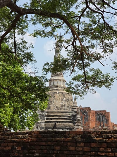 The image captures a low-angle view of a historical site in Phra Nakhon Si Ayutthaya City Municipality, Thailand. Predominantly, the scene comprises the remnants of ancient structures intertwined with natural elements.
A central spire of a weathered, possibly temple structure rises, partially obscured by tree branches and foliage. The structure appears to be made of stone or similar material, displaying signs of age and erosion. Adjacent to it, a brick wall, also aged and deteriorated, stands to the right.
Branches of trees are visible at the top and bottom of the frame, with green leaves filtering the sunlight. The sky peeks through the foliage, appearing pale blue. A single bird is perched on the structure.