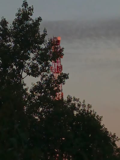 In the city of Shestunikha, Russia, a cellular tower is visible against a dusky sky. The tower is red and white and is partially obscured by the dark foliage of a large tree in the foreground. The sky is hazy with clouds.