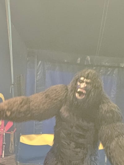 A menacing, oversized, black gorilla costume dominates the frame, snarling with bared teeth and a fierce expression. The fur appears dense and shaggy, contrasting with the pale flesh around its mouth and eyes. The background features a simple blue and white draped backdrop, likely a stage or tent setting. To the left, indistinct circus equipment, including ropes and poles, adds to the scene's context, hinting at a performance or exhibit.