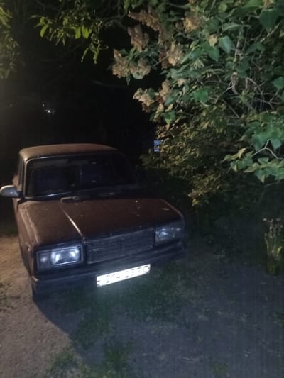 A dark-colored sedan, likely a Soviet-era Lada, is parked on a gravel and grass surface at night. The car's headlights are illuminated. The vehicle's front bumper displays a license plate with the characters "21423 TO". Overhanging branches from a tree with green leaves and lighter colored clusters of flowers or seed pods are visible in the upper portion of the image, casting shadows and contributing to the nighttime ambiance. The background is dark and indistinct, suggesting an outdoor, possibly rural or suburban setting, consistent with a location in Yampil, Ukraine. There are no people visible in the scene.