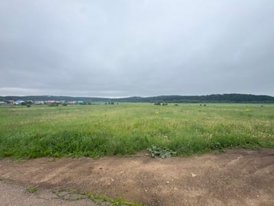 This media file presents a wide, expansive rural landscape under a uniformly grey, overcast sky. The foreground is dominated by a rough, light brown dirt path interspersed with small pebbles and some cracks, which meets a darker, worn asphalt edge on the left side. Patches of green grass and small weeds grow along the edges of this path. A prominent clump of large-leafed green plants is situated by the dirt path, slightly right of the center foreground.
Beyond the path, a vast green field stretches into the midground and distance. This field is densely covered with tall, varied green grass, dotted extensively with numerous white wildflowers resembling dandelion seed heads and a few yellow blossoms further afield.
In the background, a small village is visible on the left, featuring several houses with distinctively colored roofs, including shades of blue, red, and green. Further along the horizon, a continuous line of dark green forest marks the distant treeline, suggesting rolling hills or a dense wooded area.
The scene depicts a calm, natural setting, likely during daytime, though the heavy overcast sky provides diffused, soft lighting, giving a slightly muted feel to the colors. There are no people visible, and no discernible text appears in the image. The setting suggests a tranquil countryside environment, consistent with a location such as Alnashi, Russia.
