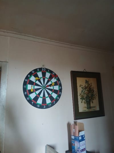 A dartboard hangs on a wall below a framed picture. The dartboard is black and white with green and red rings. It has several darts sticking into it. The picture above is a floral still life with a green vase. To the right of the picture, there is a box of light bulbs. The wall is pale beige. The bottom of the wall features a white baseboard.