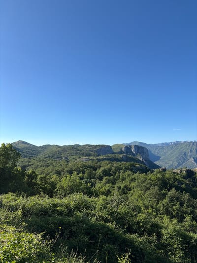 This is a landscape photograph taken in Kućišta, Montenegro. The image features a clear, bright blue sky dominating the upper half of the frame. Below the sky, rolling hills covered in lush green vegetation stretch across the horizon. The foreground is filled with dense, verdant foliage, including trees and undergrowth, with some taller grasses in the very front. In the mid-ground and background, rocky cliffs and more distant mountains are visible, also covered in trees. The scene is brightly lit, suggesting it was taken during the daytime, likely under sunny conditions. There are no people or man-made structures visible in the photograph. The overall impression is one of a serene, natural mountain landscape.