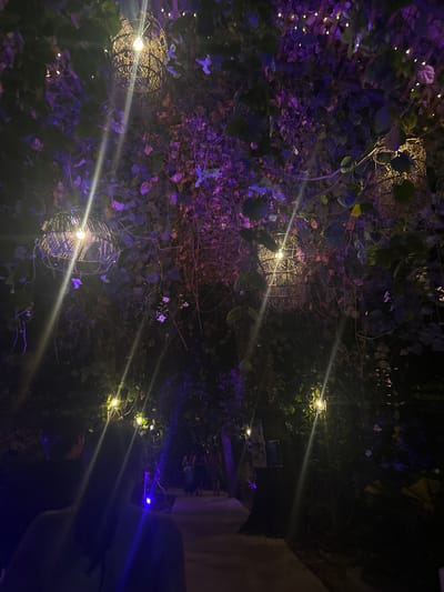 The image shows a dimly lit pathway through a dense forest canopy in Cobano District, Costa Rica, at latitude 9.633 and longitude -85.158. The pathway is illuminated by multiple strings of white lights strung throughout the trees and by large, woven, lantern-like lights hanging from the branches. The lights cast beams of light through the foliage, illuminating the path and creating a warm, welcoming atmosphere. Several figures are visible walking through the path, their silhouettes barely visible in the shadows. The environment is a dense, dark forest. The ground is covered in dry leaves and twigs. The trees are tall and thick, and their branches are interwoven, creating a canopy of foliage that blocks out most of the light from the sky. The atmosphere is serene and tranquil, and the air is filled with the sound of crickets chirping. The image evokes a sense of mystery and wonder.
