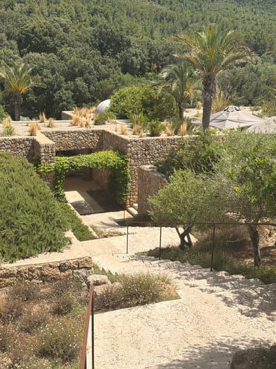 The image depicts an outdoor scene with a multi-level, stone-built architectural complex integrated into a lush, green hillside. The foreground features a set of wide, textured stone stairs descending into the lower levels. To the left of the stairs, a dense, green shrubbery occupies the corner. The middle ground reveals more stone structures, forming courtyards and walkways. A prominent archway, covered in vibrant green ivy, leads into a darker, recessed area. Palm trees and other mature trees are visible throughout the landscape, interspersed with dry, golden grasses. In the background, a dense forest covers the hillside, indicating a natural, undeveloped environment. The sky is a bright, clear blue. The scene suggests a tranquil, perhaps resort-like setting within a natural landscape, possibly a garden or a private estate.