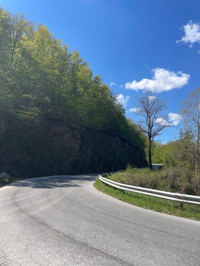 A road winds through a hilly, wooded area on a sunny day. The sky is blue with scattered white clouds. The road is gray asphalt with a white guardrail on the right side. A steep, rocky hillside rises on the left side of the road, covered with trees and vegetation. One bare tree stands out prominently on the hillside. There are no people visible. The location is potentially near Borinovo, Bulgaria, based on the prompt context.