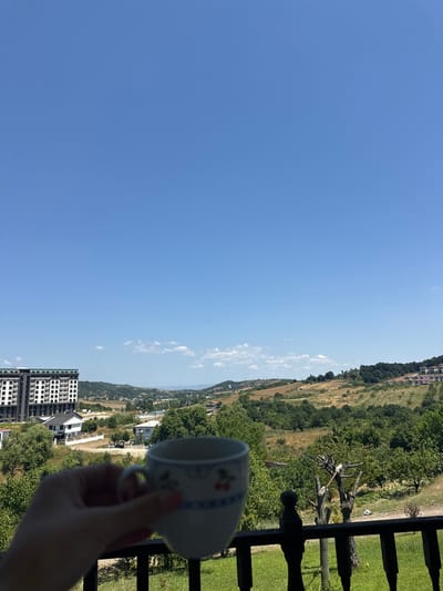 A hand holds a white mug with a blue and red floral pattern, obscuring a portion of the foreground. The mug is positioned in front of a blurred landscape of rolling hills covered in lush green trees and dry grass under a clear blue sky. In the mid-ground, a modern, multi-story building with numerous windows stands to the left, contrasting with smaller white houses scattered across the hillside. A dark wooden railing runs along the bottom of the frame, with green grass visible behind it. The overall scene suggests a view from a balcony or porch overlooking a semi-rural or suburban area, potentially in Termal, Turkey, given the architectural style and vegetation.