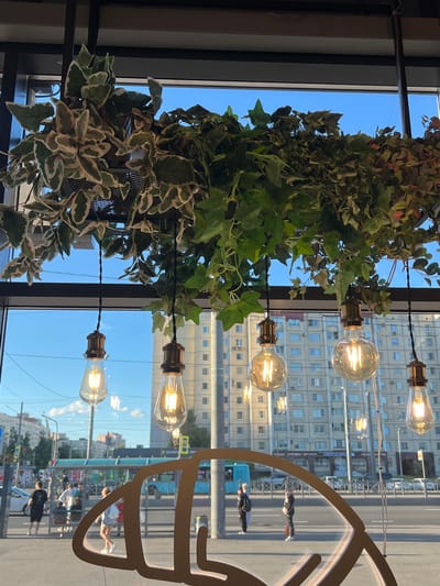 This is a vertical, wide-angle shot of an indoor setting looking out through a large window. The foreground is dominated by a lush, hanging plant with variegated green and white leaves, creating a natural, almost jungle-like feel. Suspended from above, and interspersed with the plant's foliage, are several vintage-style Edison bulbs, their filaments glowing warmly, suggesting artificial light sources.

Beyond the window, a city scene unfolds under a bright blue sky, indicating a clear, sunny day. The reflection on the window is a key element, showing a large, stylized outline of glasses, suggesting this is a cafe, shop, or optician's. The reflected scene includes a street with buildings, a bus, and people walking. The buildings appear to be typical of a Russian urban environment.

The activity is primarily that of people going about their day in the city outside, visible through the window and in reflection. There's a sense of casual movement, with individuals on the street and at a bus stop. The time of day appears to be daytime, given the bright sunlight and clear sky. The overall mood is bright and lively, a juxtaposition of the tranquil indoor greenery and the active urban exterior.

Visible text includes "БЕЛОРУССКАЯ" (Belorusskaya) on a sign in the reflection, which is a common indicator of a metro station in Russia, specifically in Moscow. Other text is present on signs in the background, but is too small to be legible. The location is identified as Borisova Griva, Russia.